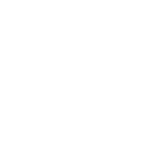 همتاسرویس